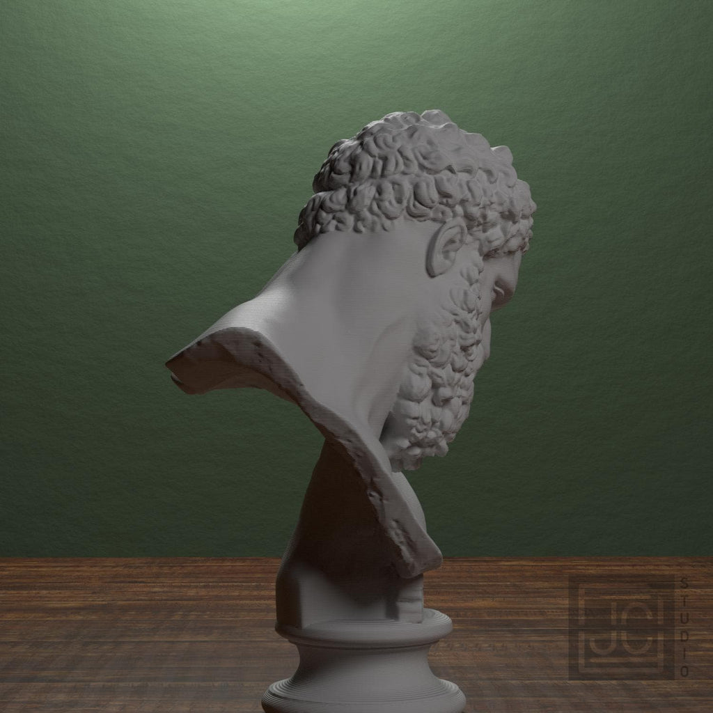 Bust of the Farnese Hercules supplemental reference photo 2
