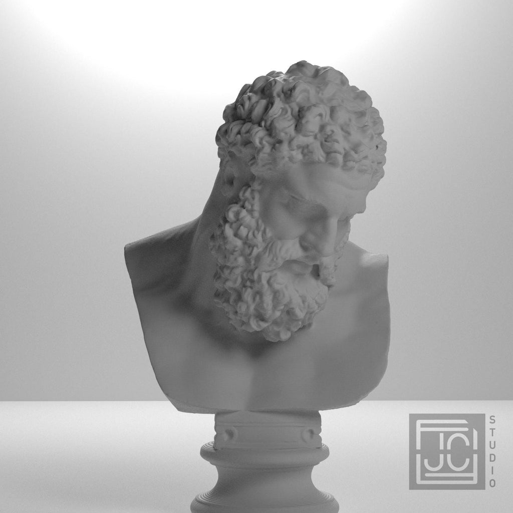 Bust of the Farnese Hercules supplemental reference photo 5