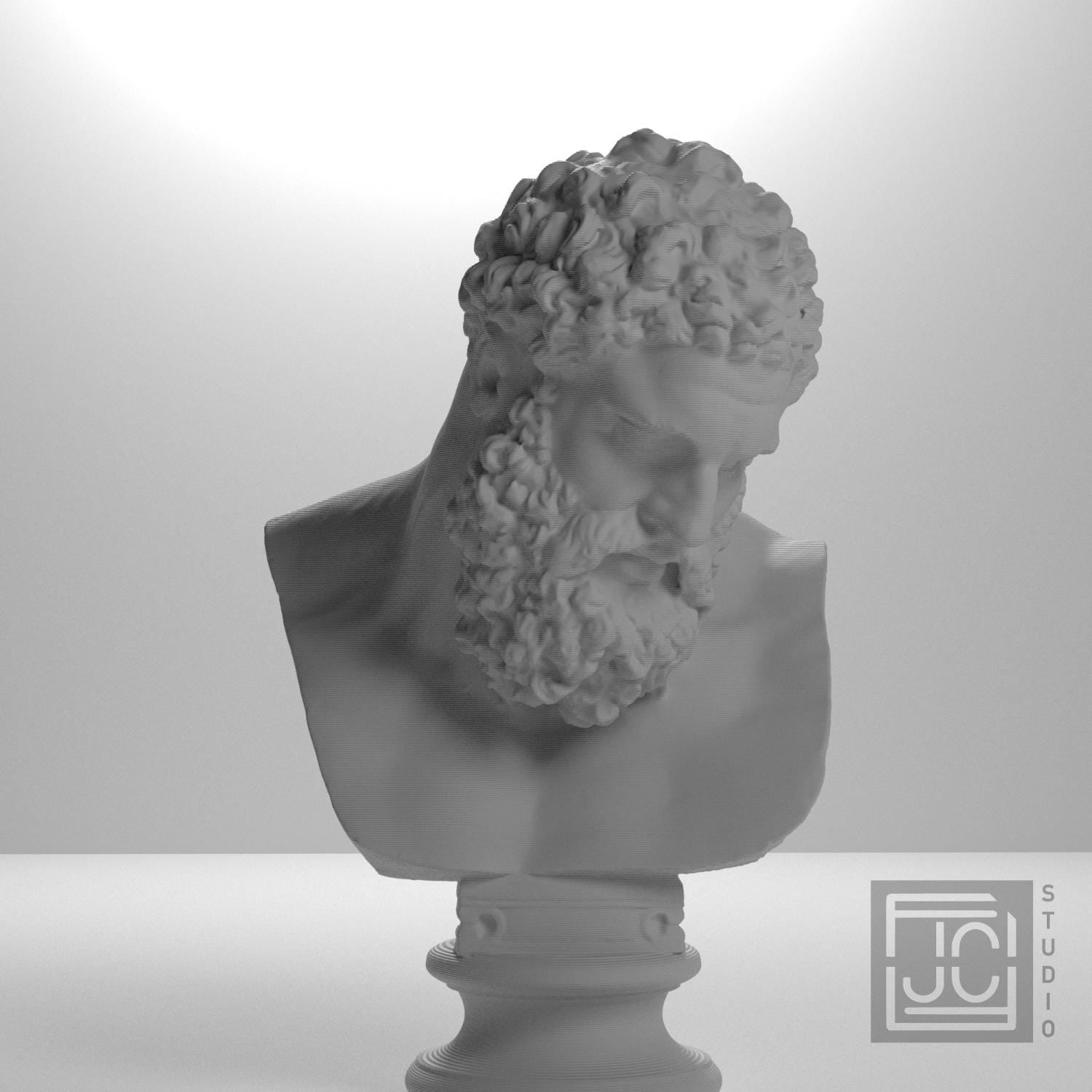 Bust of the Farnese Hercules supplemental reference photo 5