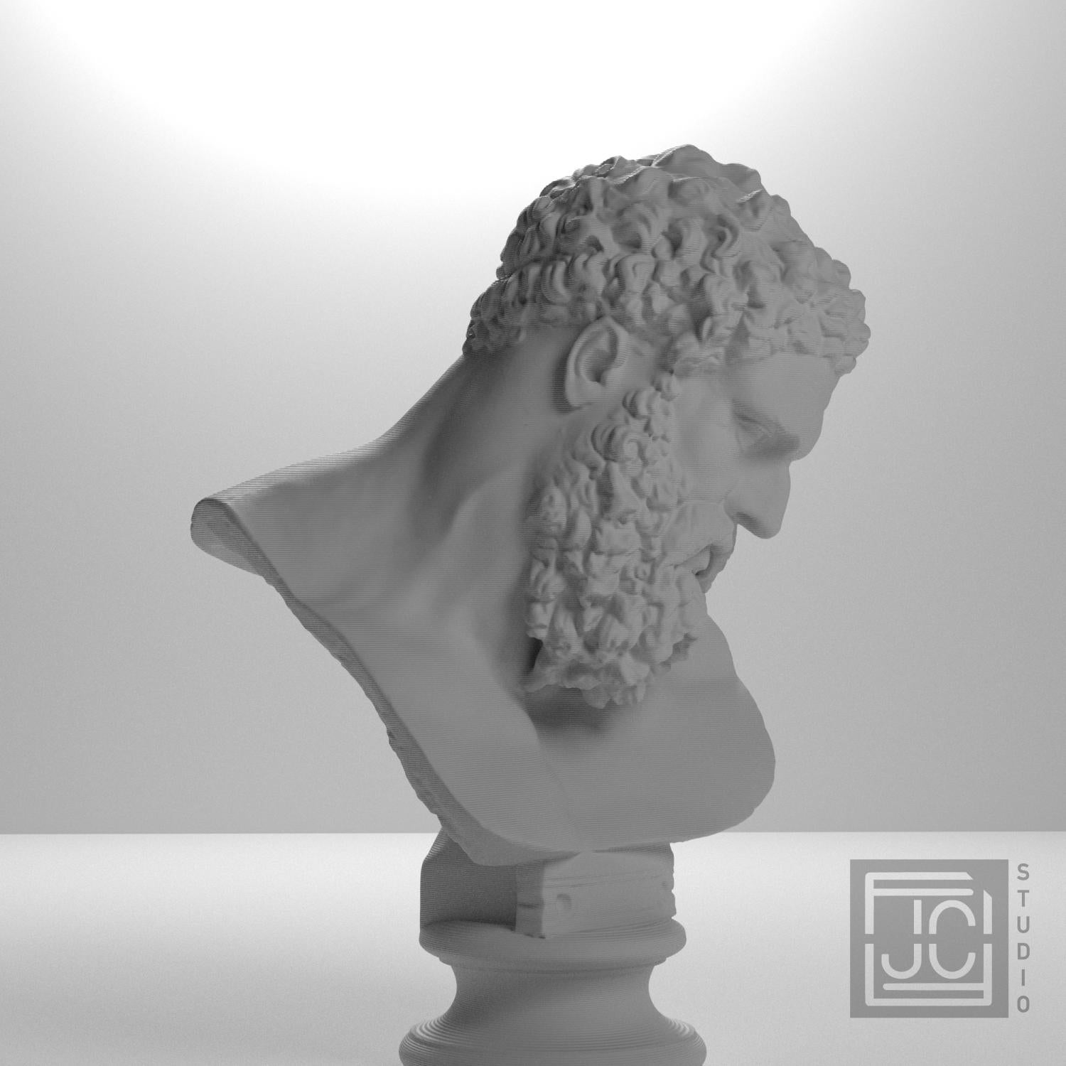 Bust of the Farnese Hercules supplemental reference photo 6