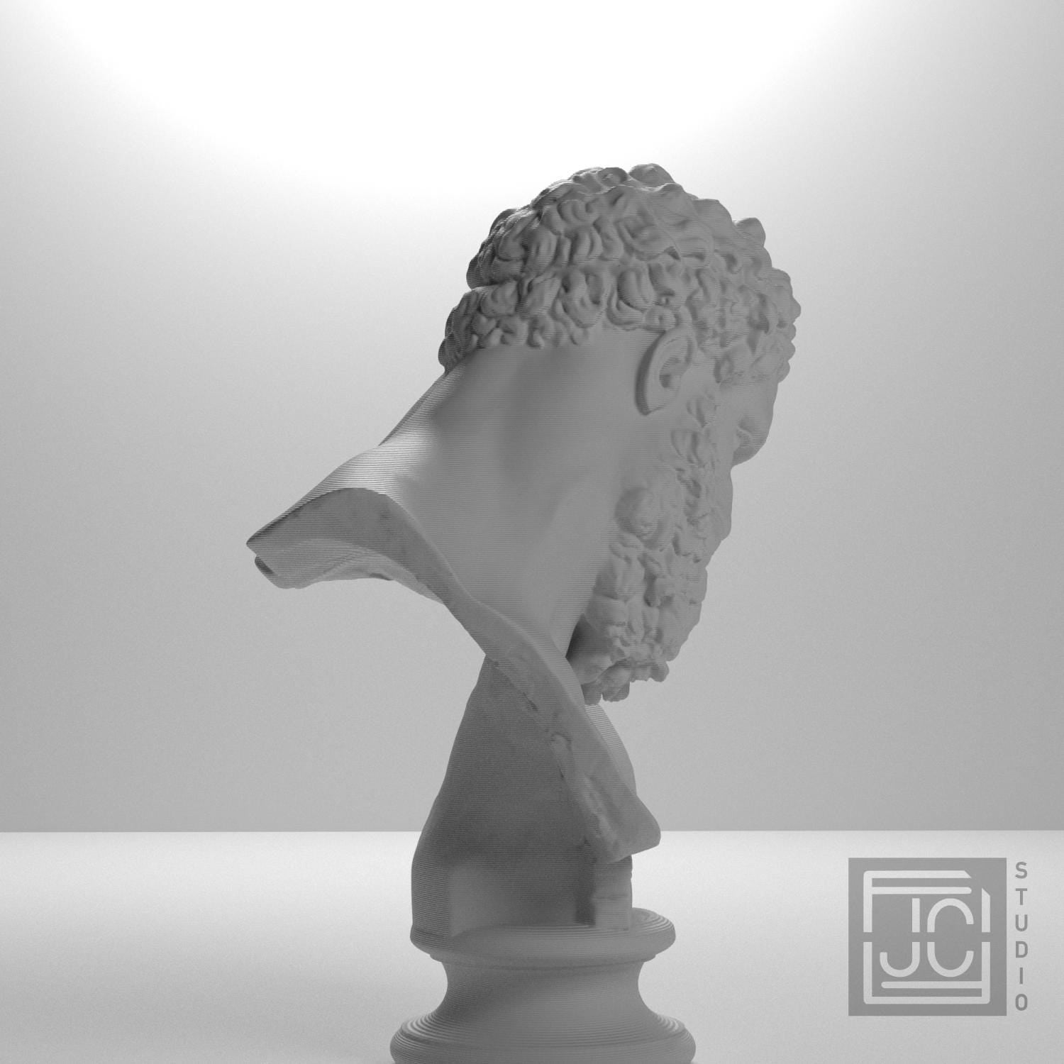 Bust of the Farnese Hercules supplemental reference photo 7