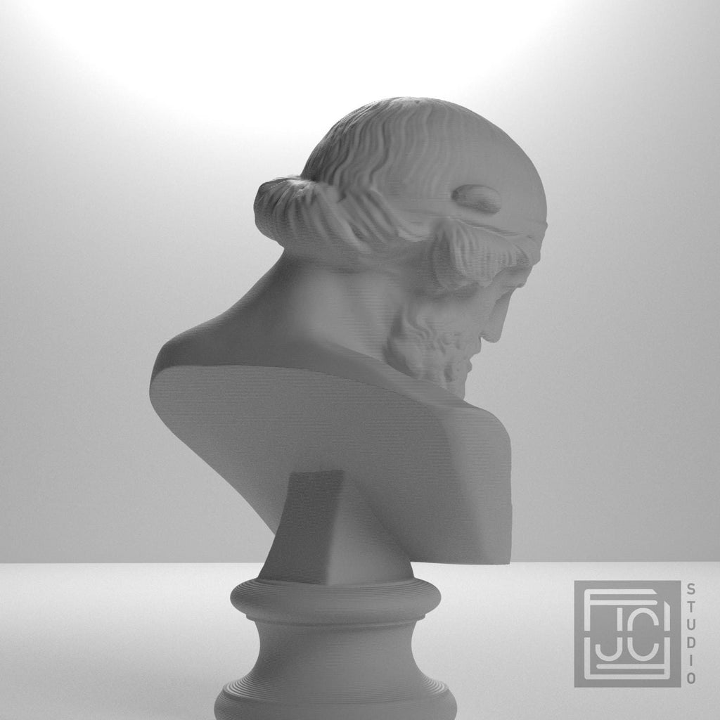 Bust of Dionysus Priapus Plato or Poseidon supplemental reference photo 8