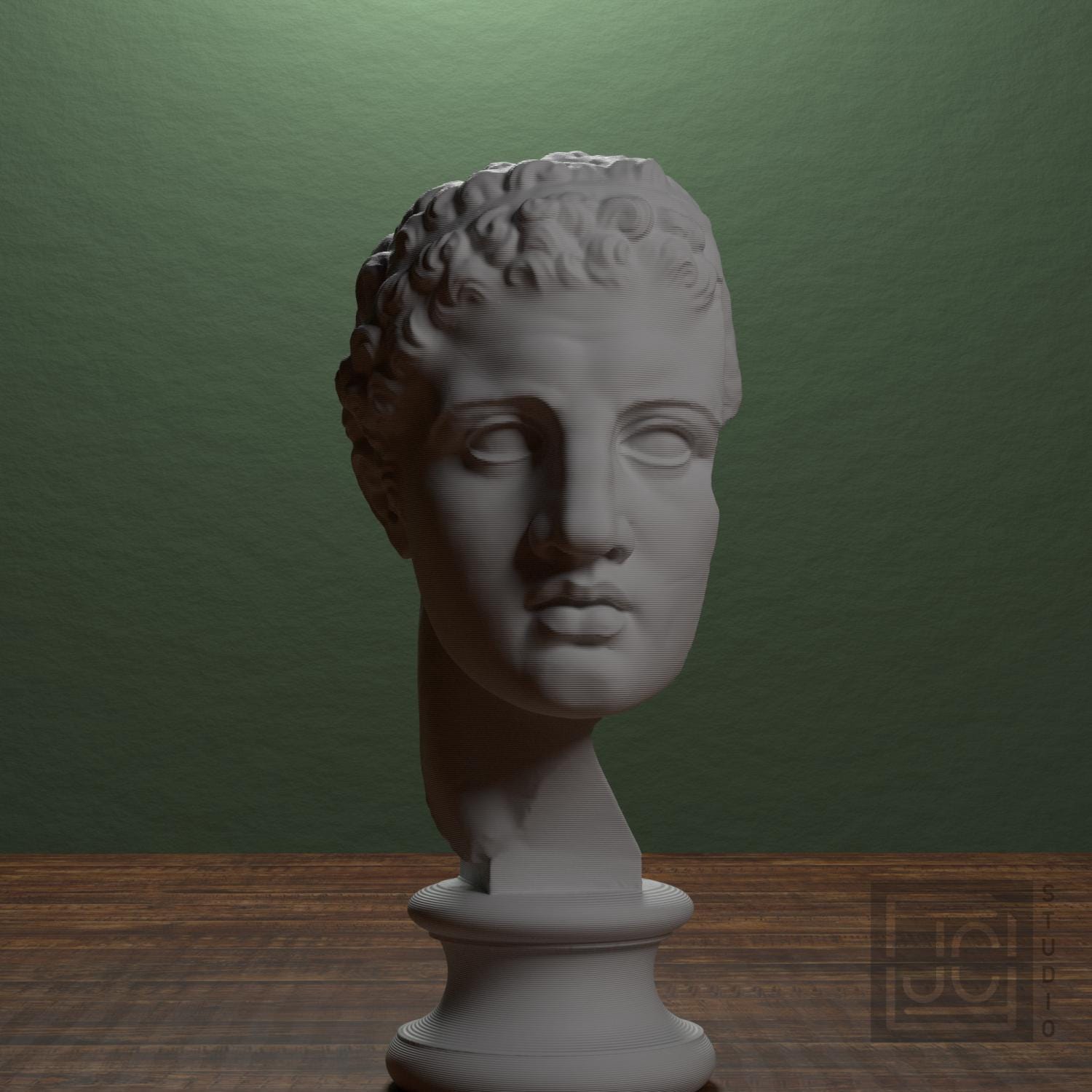 Fragmentary head of Hercules (from the Lansdowne Herakles) supplemental reference photo 1