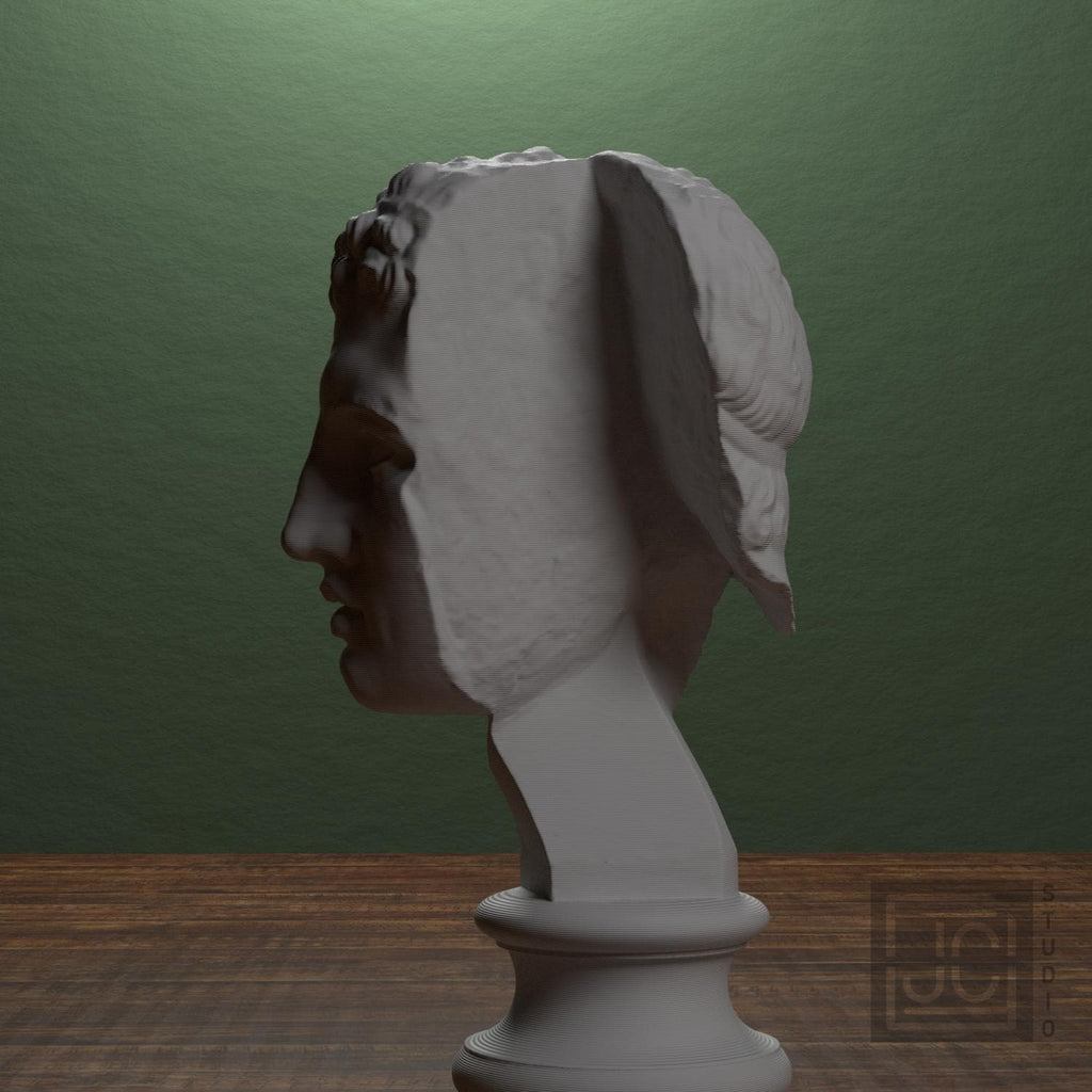 Fragmentary head of Hercules (from the Lansdowne Herakles) supplemental reference photo 4