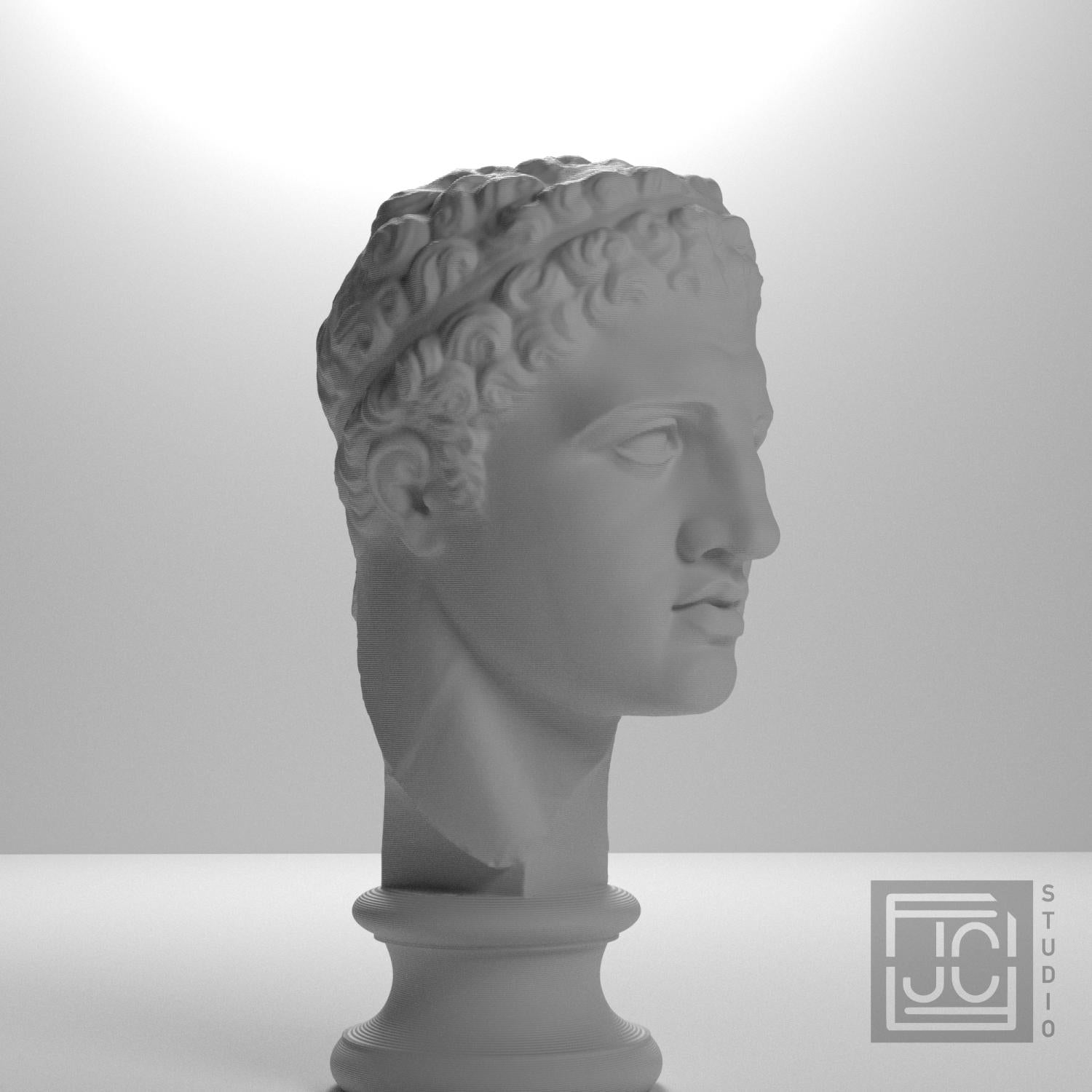 Fragmentary head of Hercules (from the Lansdowne Herakles) supplemental reference photo 6
