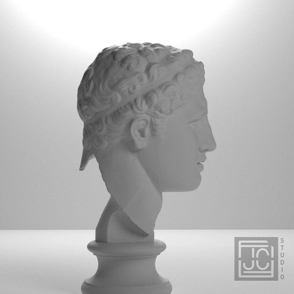 Fragmentary head of Hercules (from the Lansdowne Herakles) supplemental reference photo 7