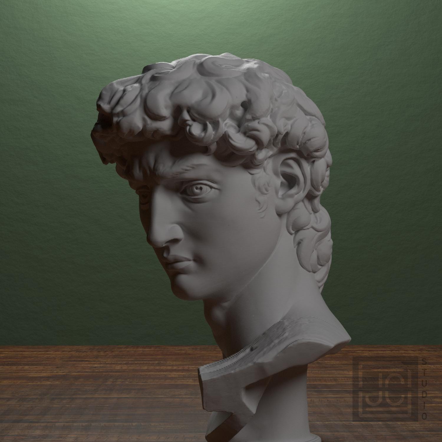 Head of Michelangelo's David supplemental reference photo 1