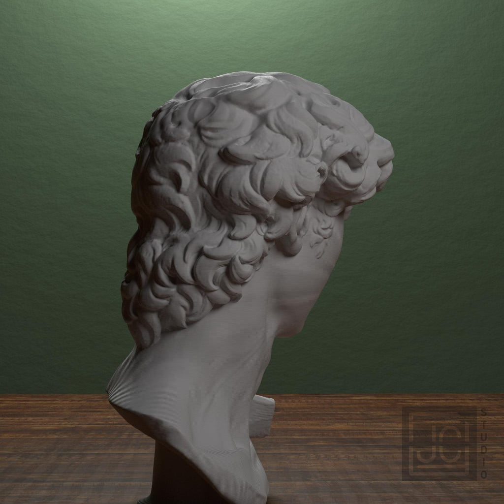 Head of Michelangelo's David supplemental reference photo 3