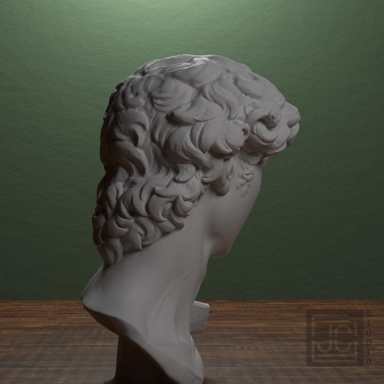 Head of Michelangelo's David supplemental reference photo 3