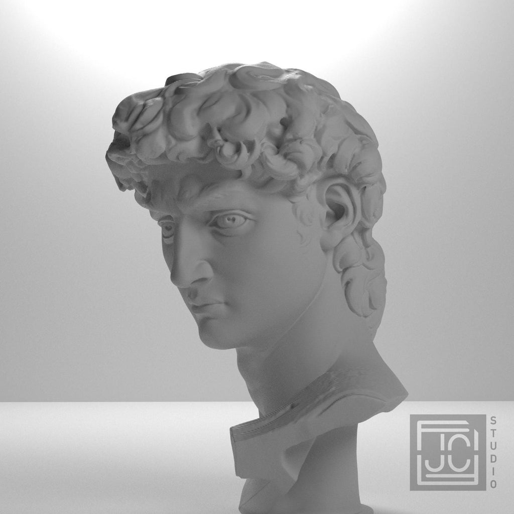 Head of Michelangelo's David supplemental reference photo 5