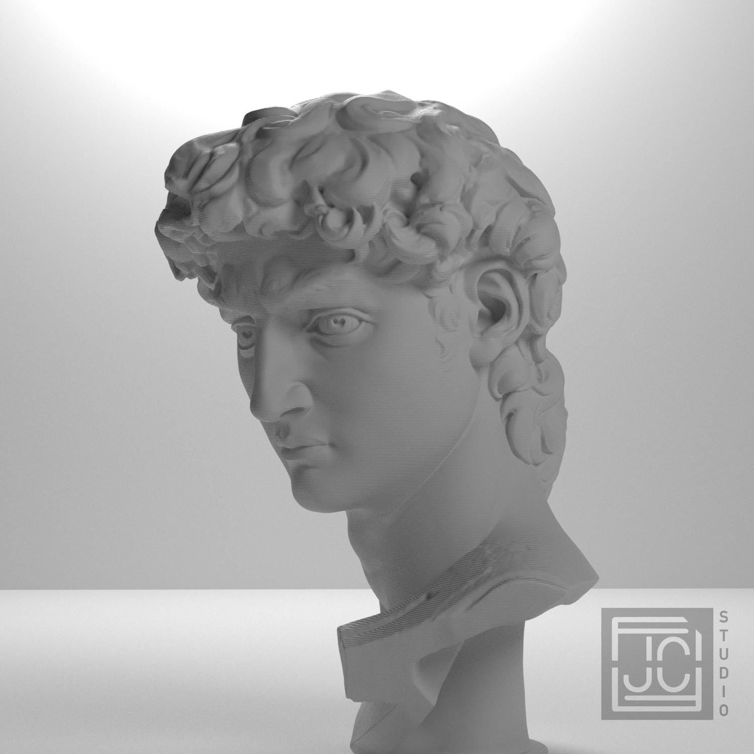 Head of Michelangelo's David supplemental reference photo 5