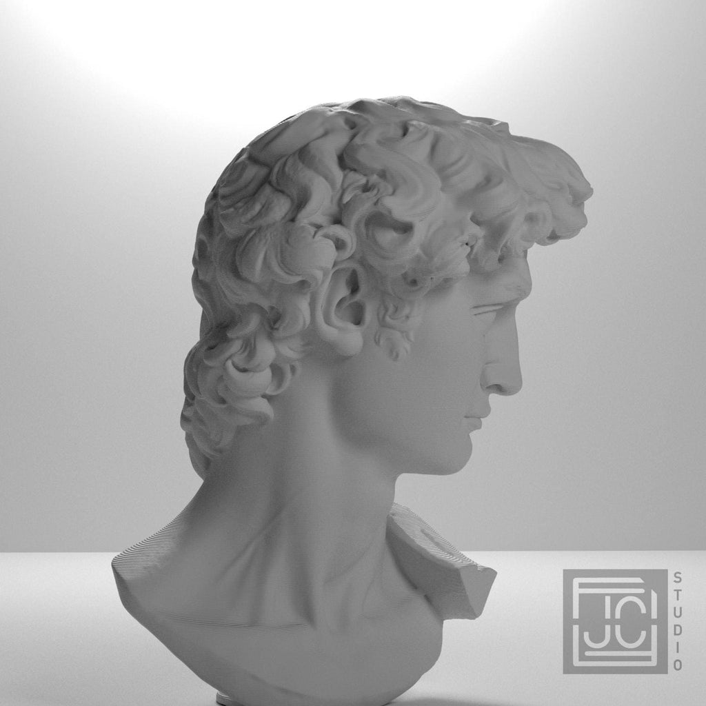 Head of Michelangelo's David supplemental reference photo 8