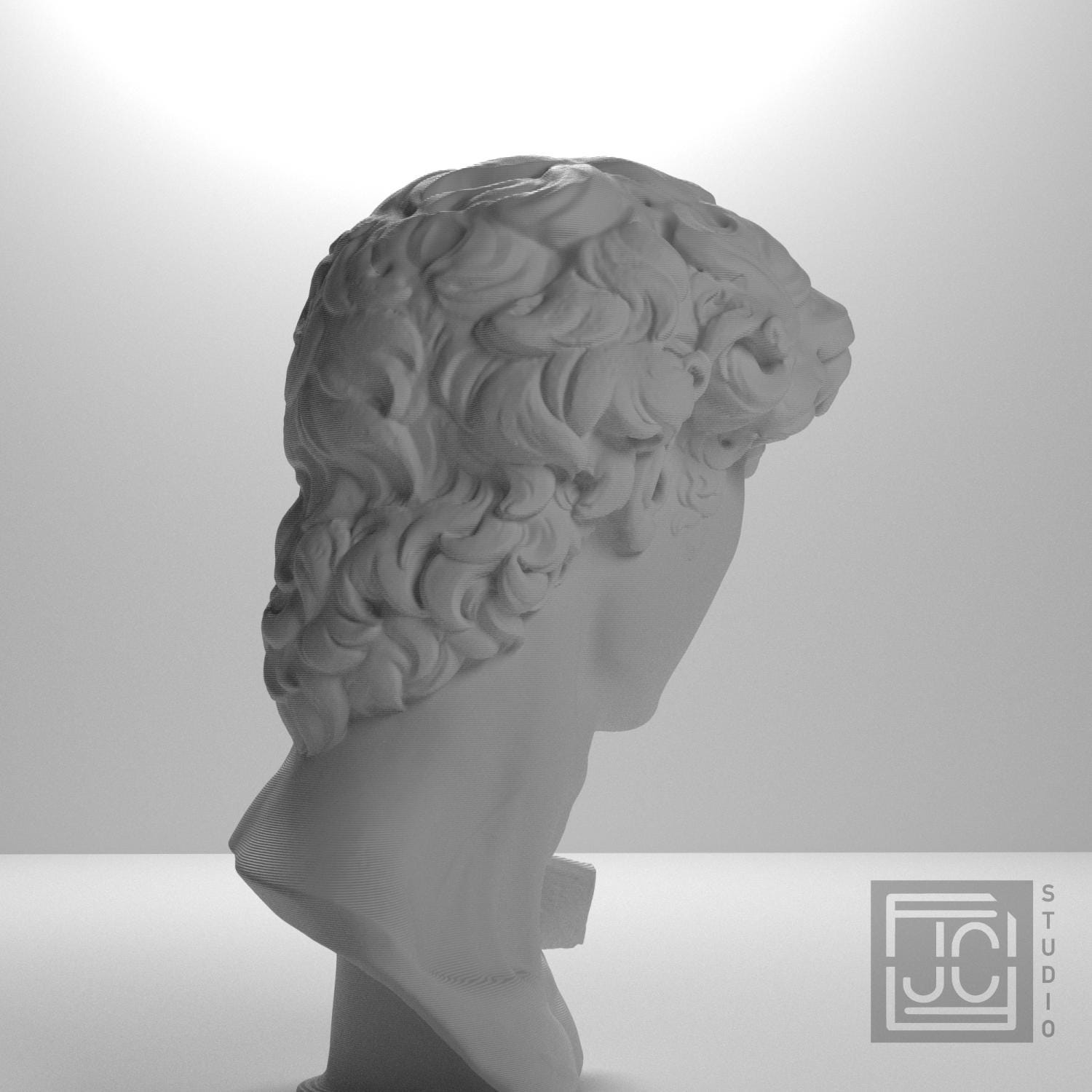 Head of Michelangelo's David supplemental reference photo 9