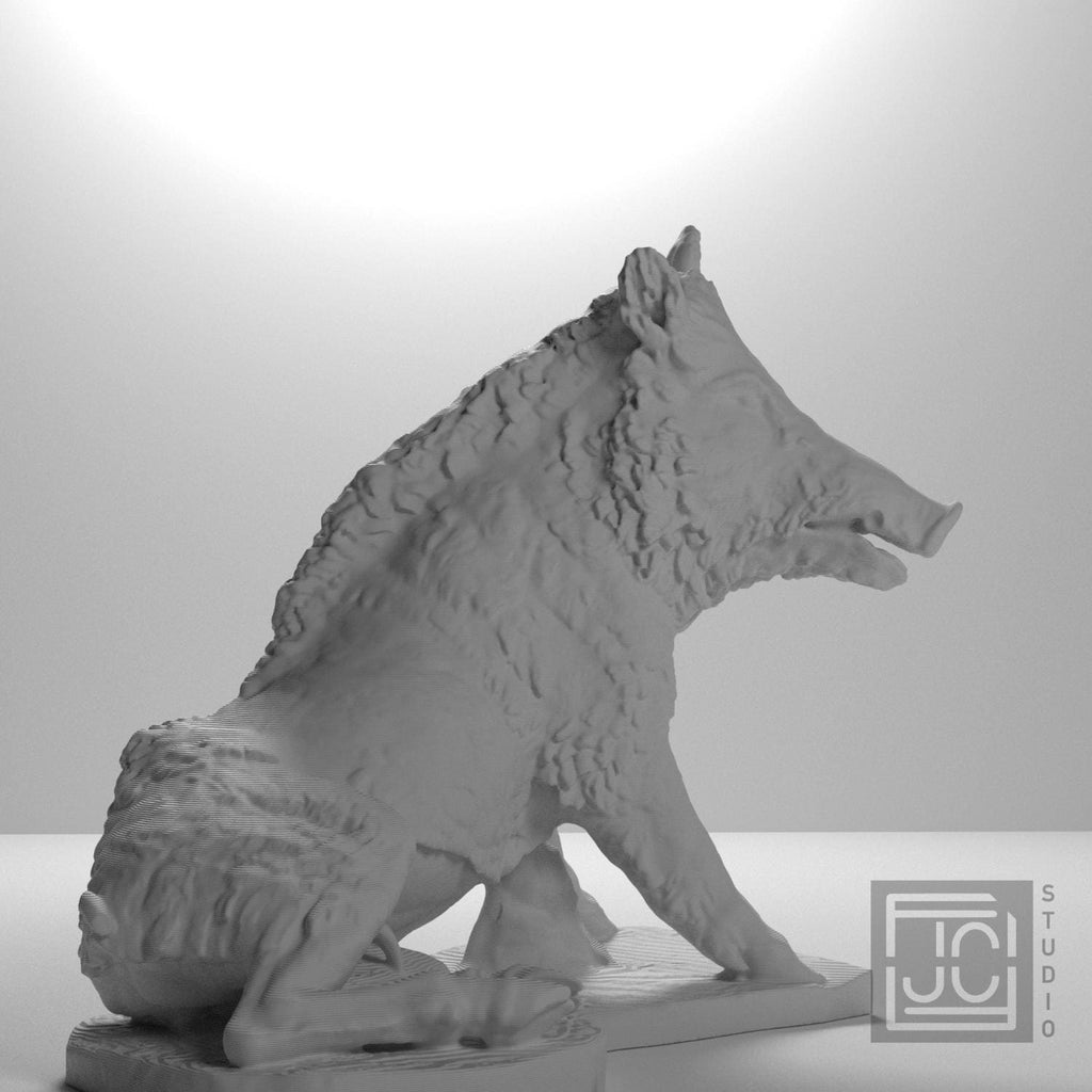 The Wild Boar Porcellino supplemental reference photo 5