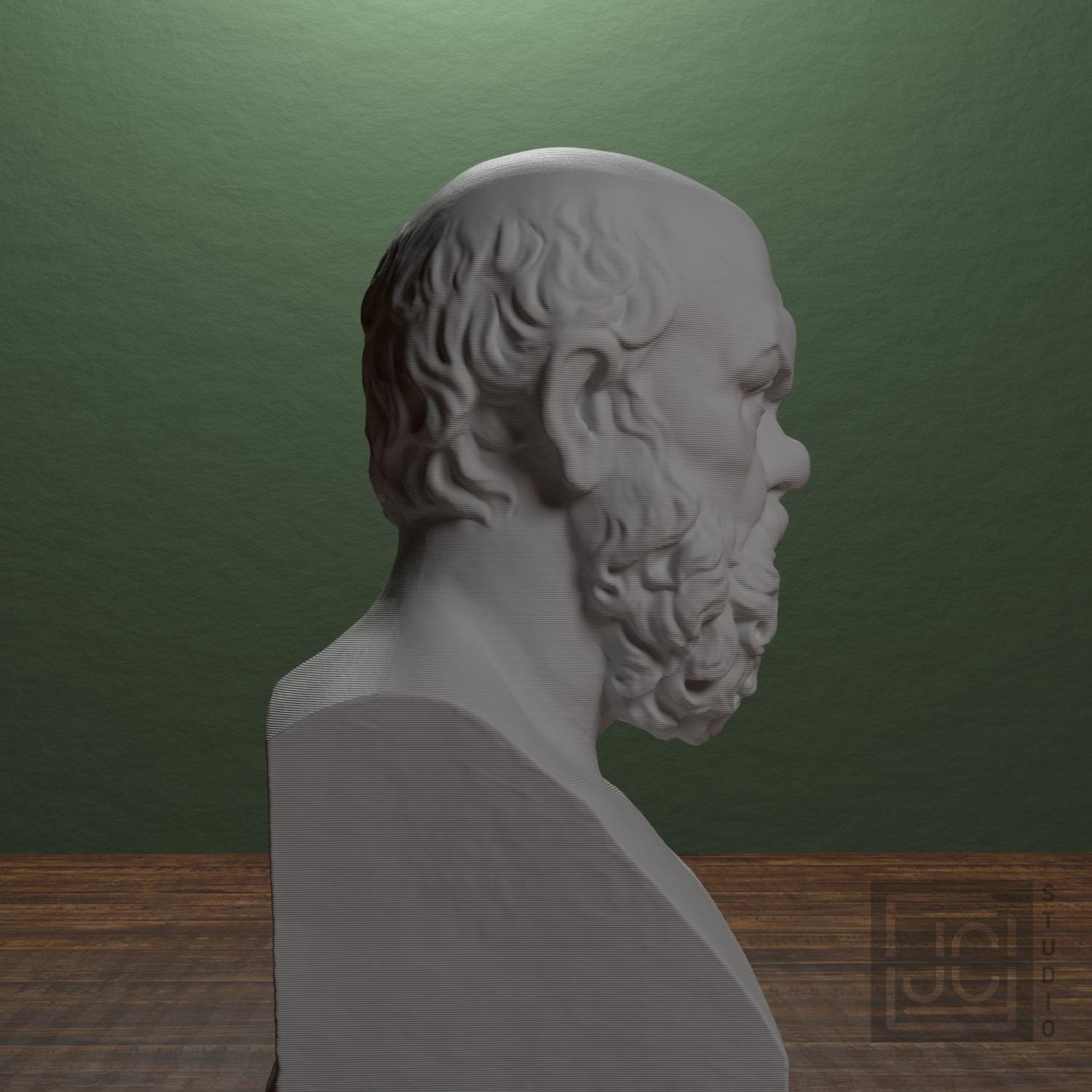 Portrait of Socrates supplemental reference photo 2