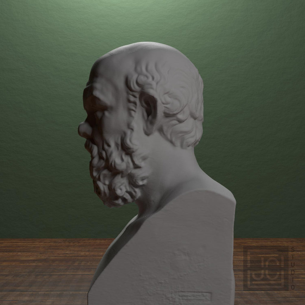 Portrait of Socrates supplemental reference photo 4