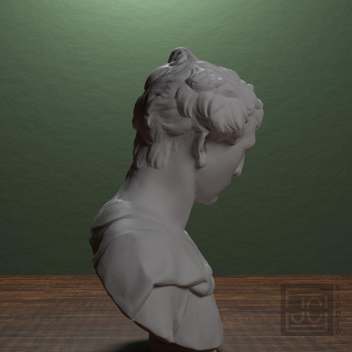 Bust of John the Baptist supplemental reference photo 2