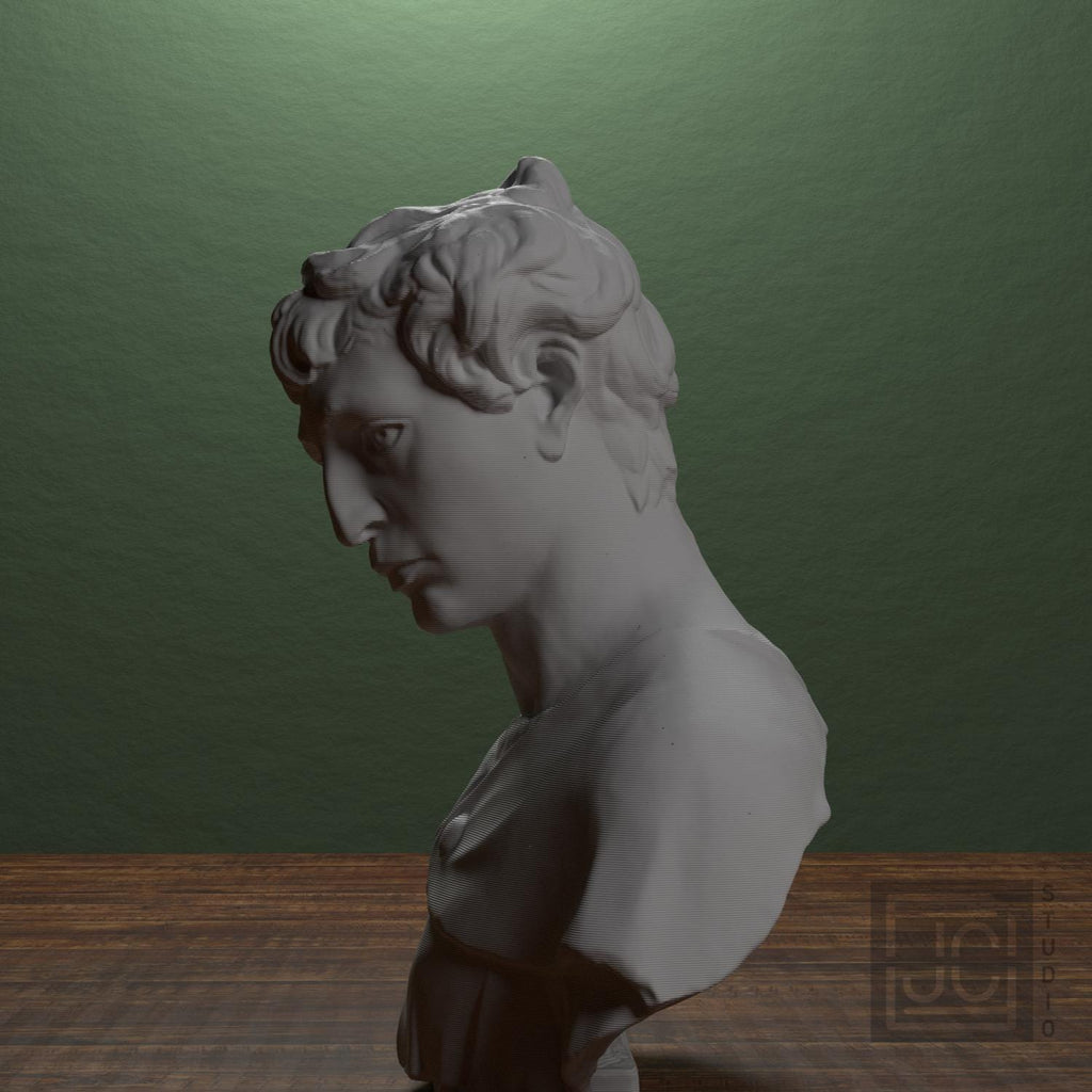 Bust of John the Baptist supplemental reference photo 4