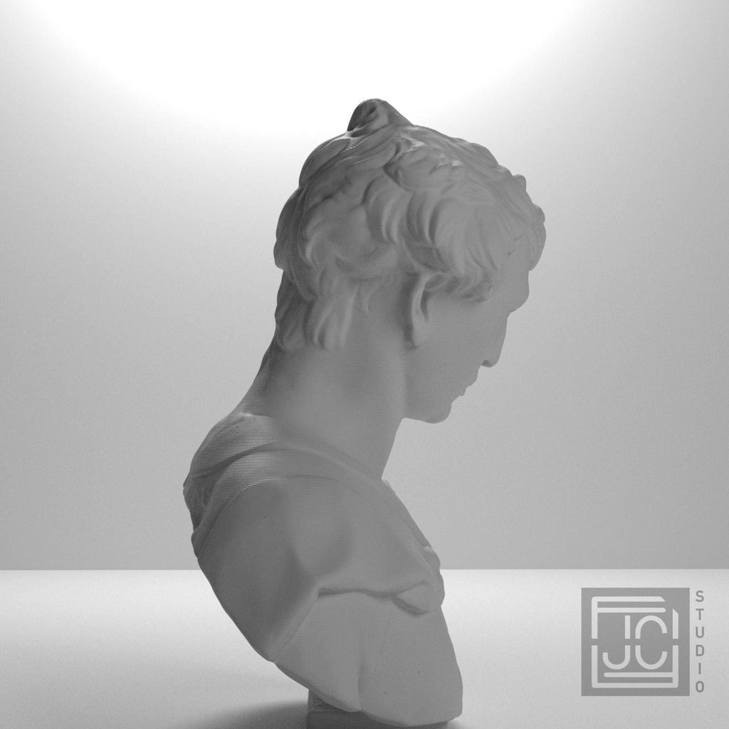 Bust of John the Baptist supplemental reference photo 7