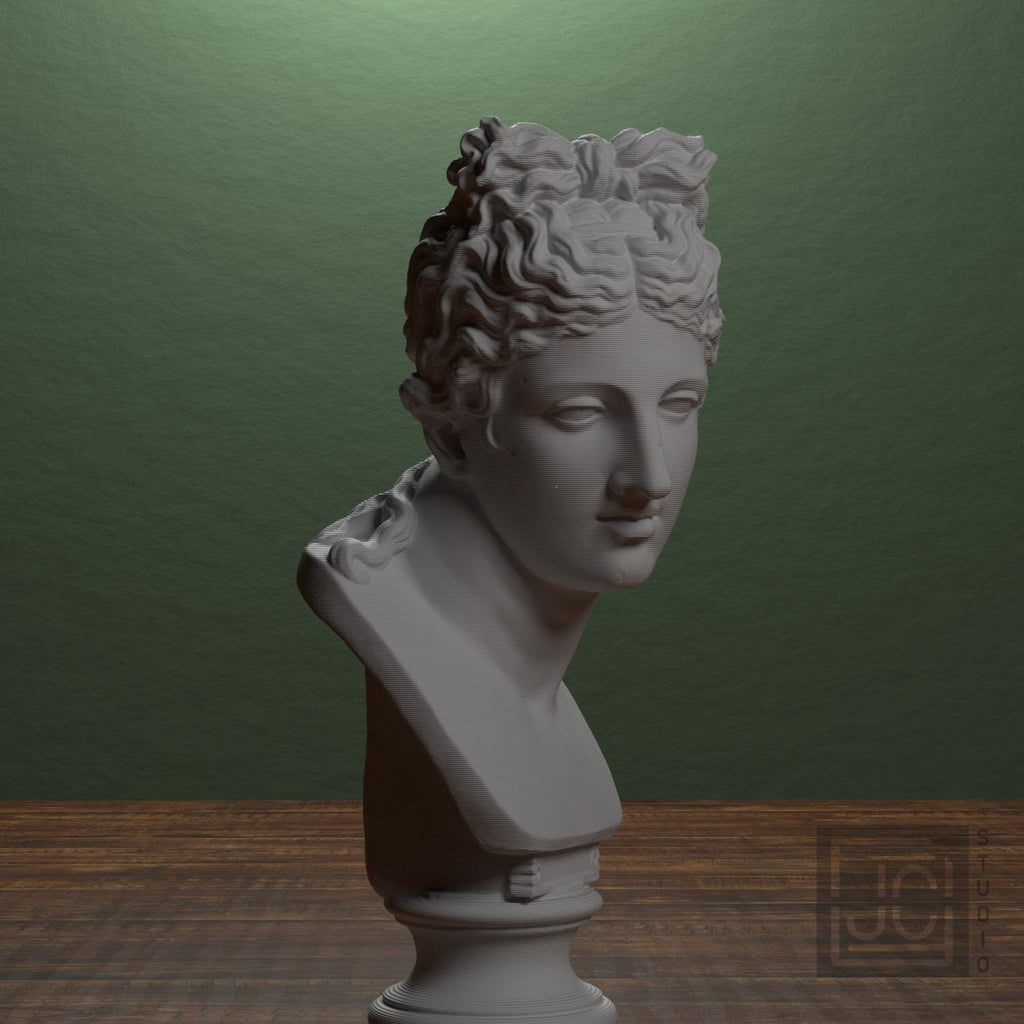 Bust of a woman supplemental reference photo 1