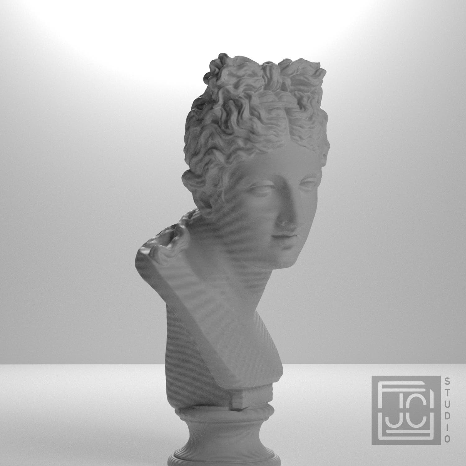 Bust of a woman supplemental reference photo 5