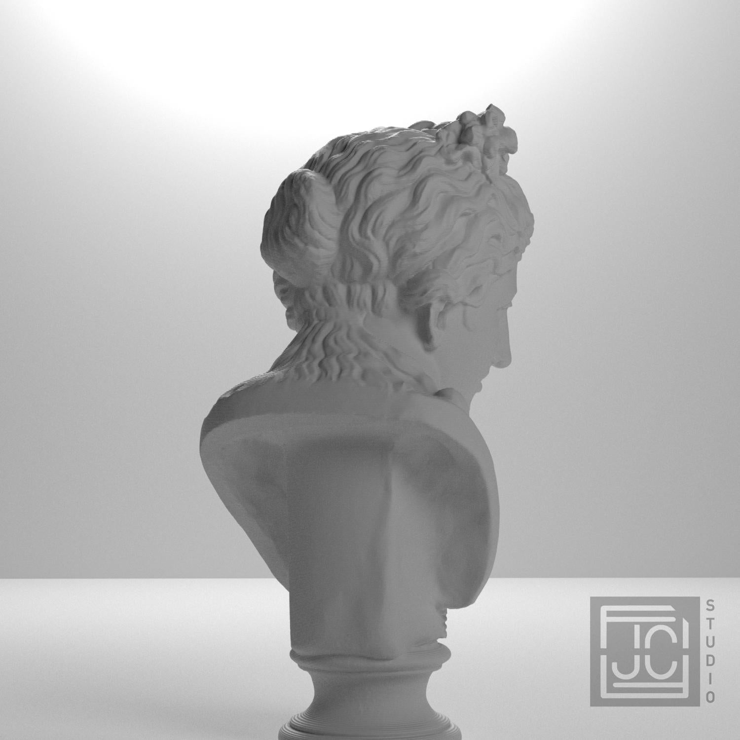 Bust of a woman supplemental reference photo 7