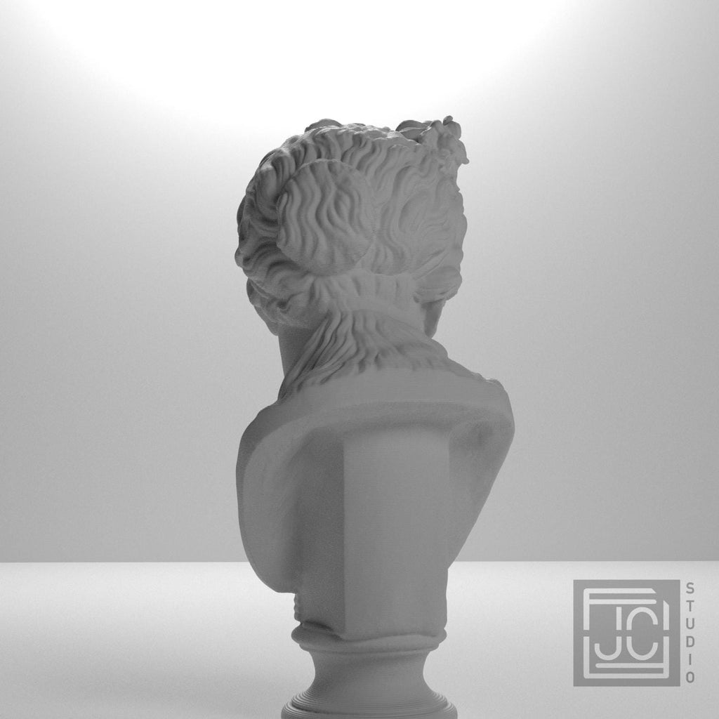 Bust of a woman supplemental reference photo 8
