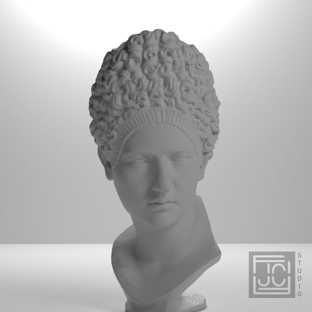 Bust of Iulia Titi supplemental reference photo 5