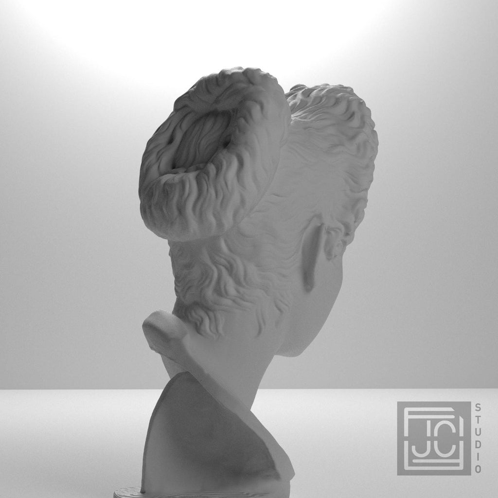 Bust of Iulia Titi supplemental reference photo 8