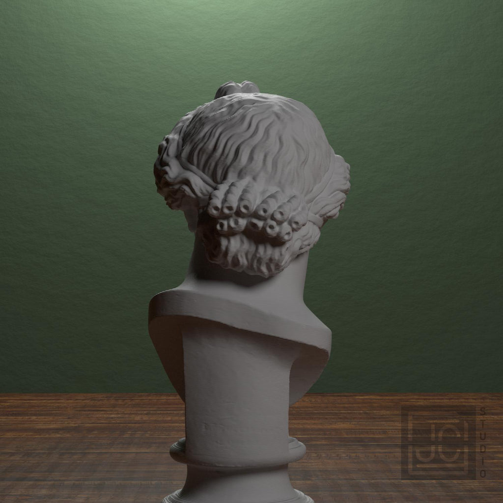 Bust of the Apollo Lykeios supplemental reference photo 3
