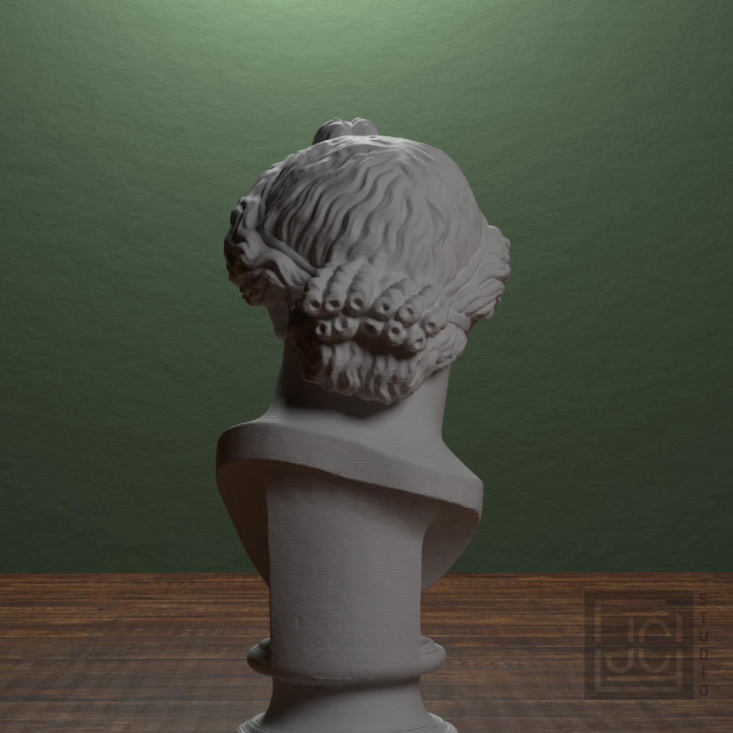 Bust of the Apollo Lykeios supplemental reference photo 3