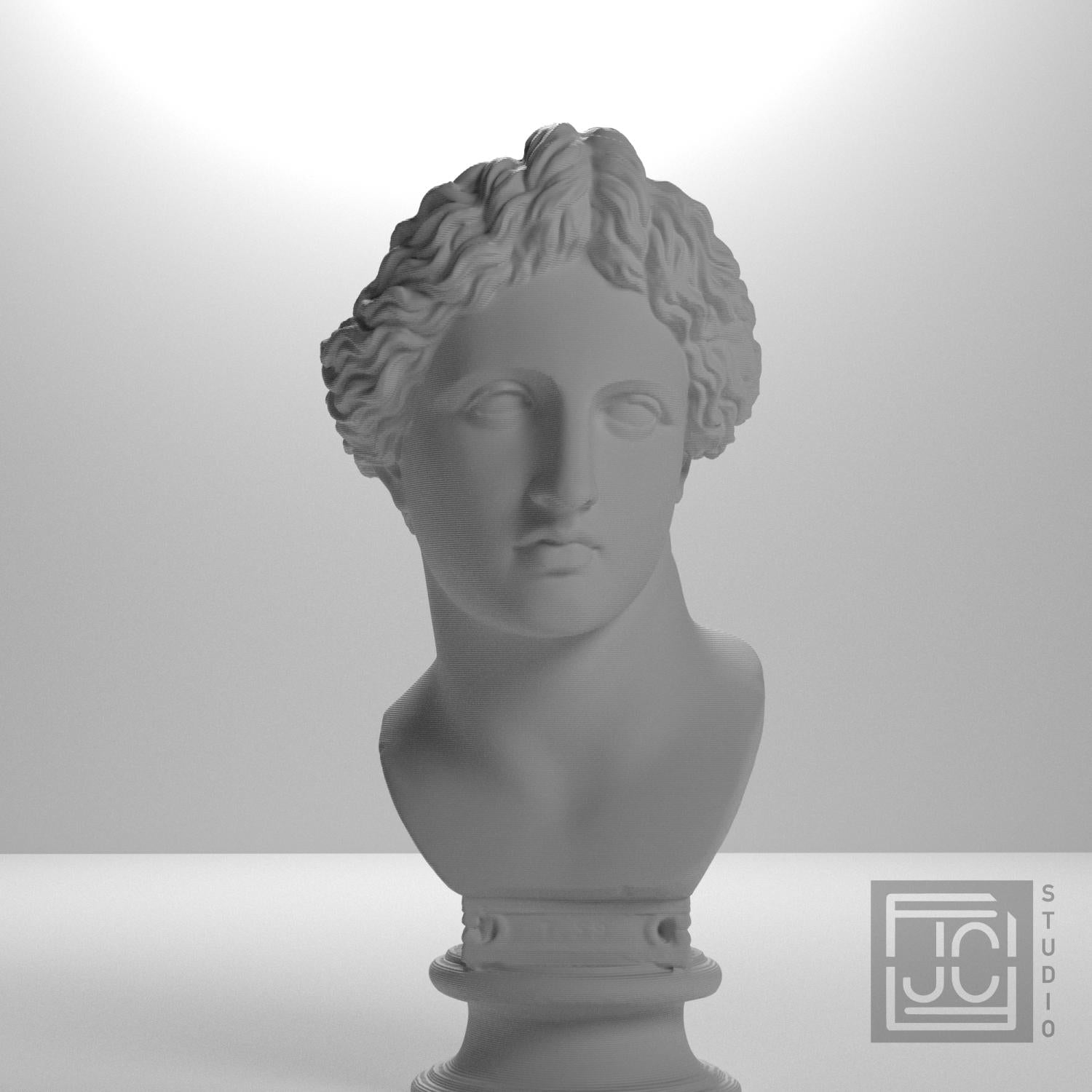 Bust of the Apollo Lykeios supplemental reference photo 5