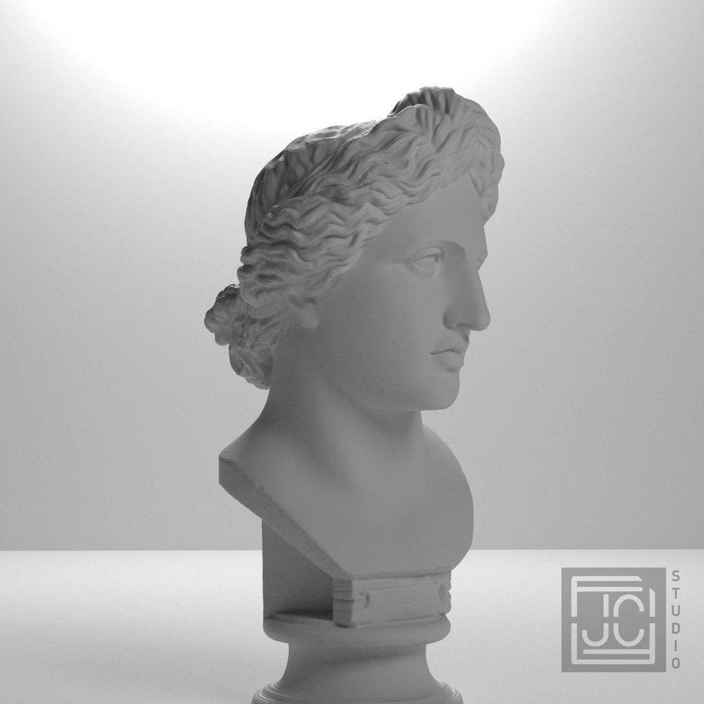 Bust of the Apollo Lykeios supplemental reference photo 6