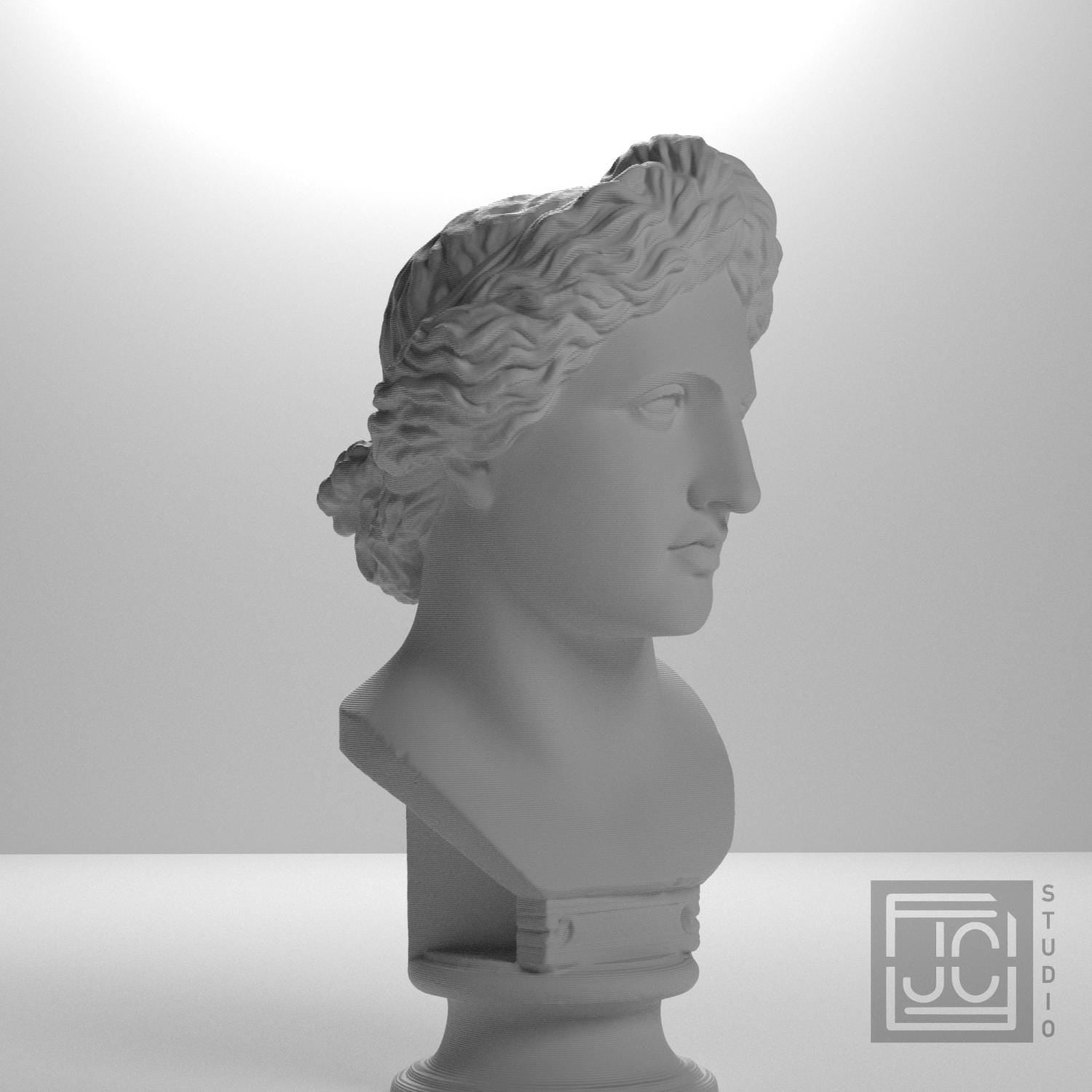 Bust of the Apollo Lykeios supplemental reference photo 6
