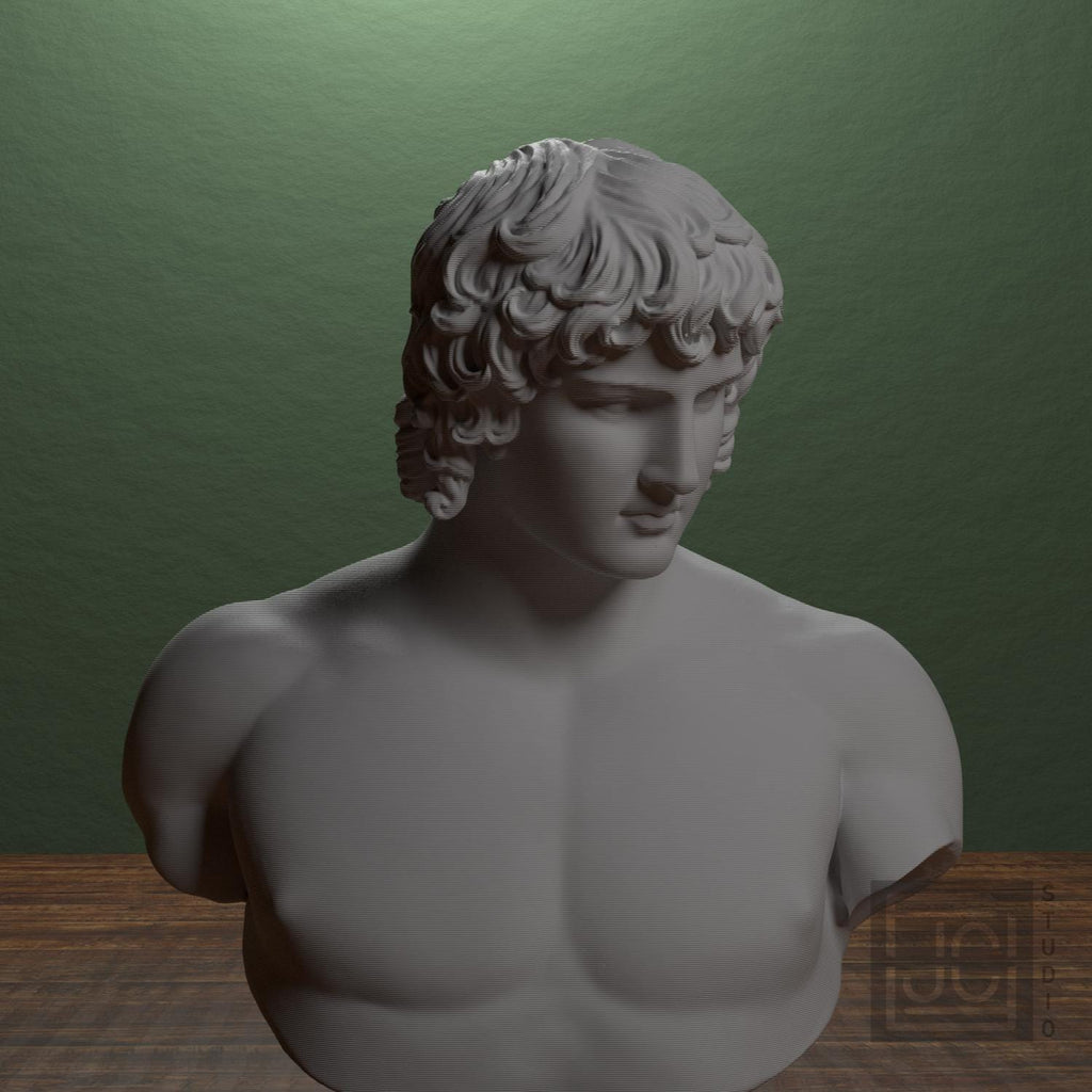 Portrait of Antinous supplemental reference photo 1