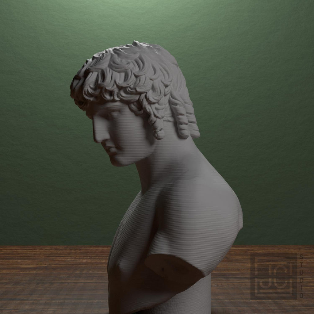 Portrait of Antinous supplemental reference photo 4