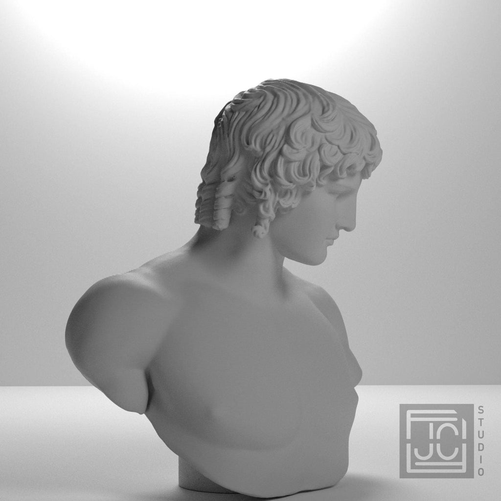 Portrait of Antinous supplemental reference photo 6