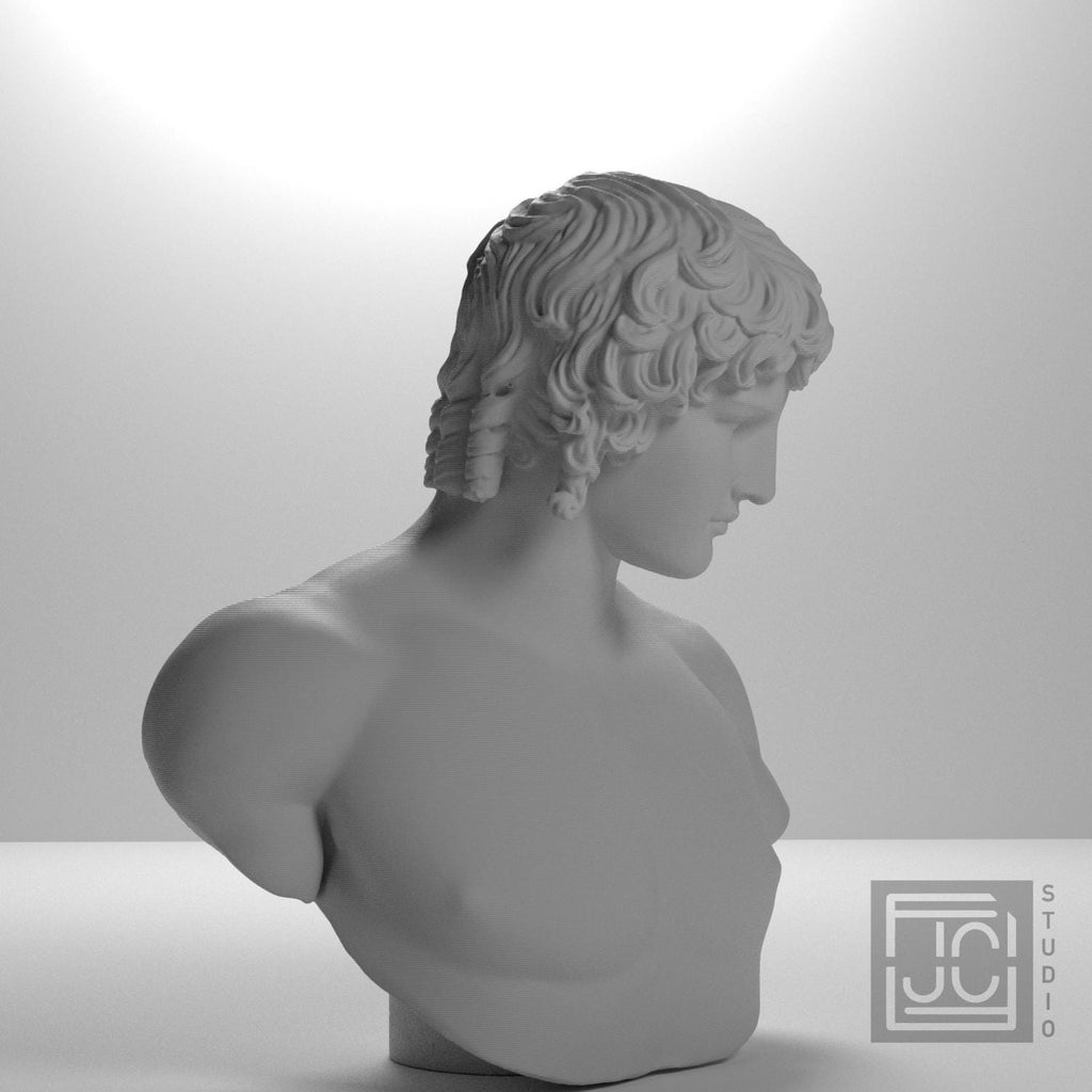 Portrait of Antinous supplemental reference photo 6
