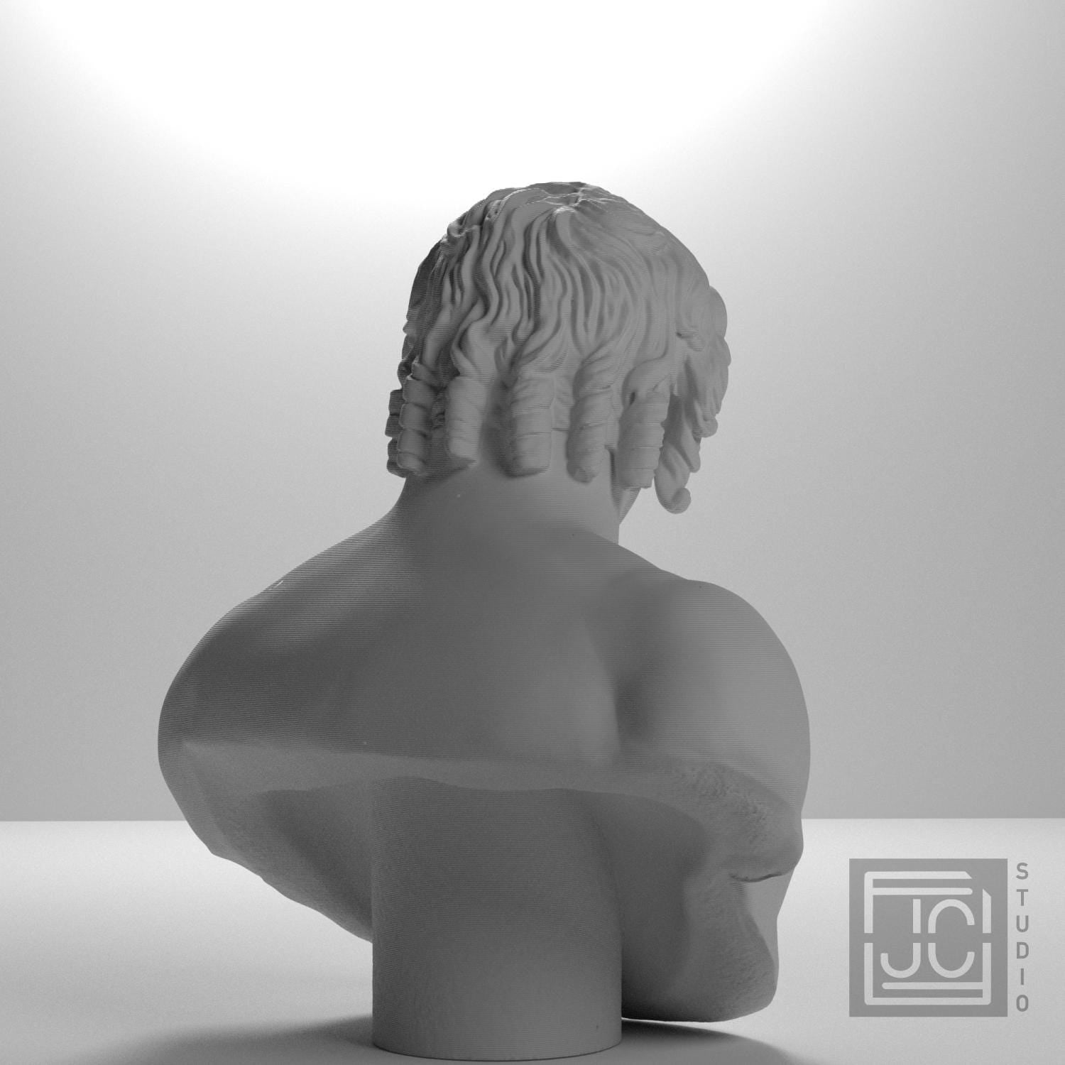 Portrait of Antinous supplemental reference photo 8