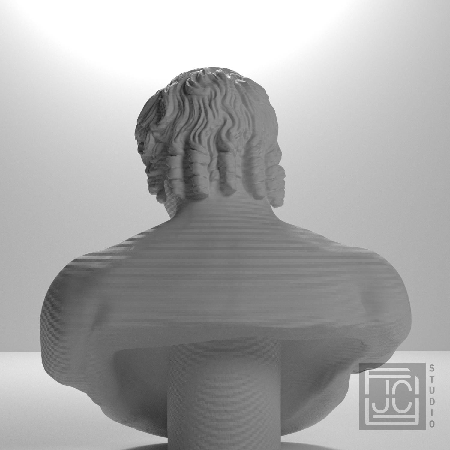 Portrait of Antinous supplemental reference photo 9