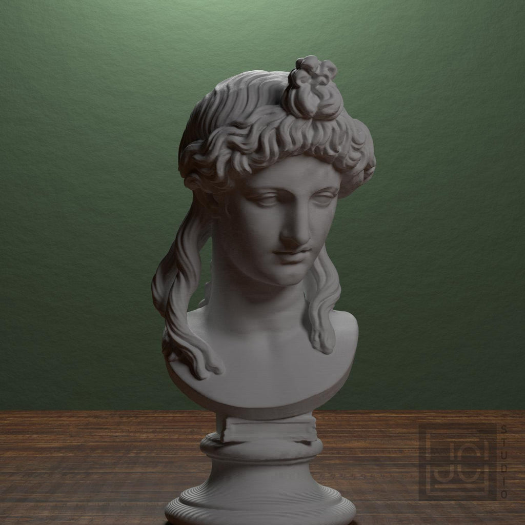 Head of a Woman or Apollo supplemental reference photo 1