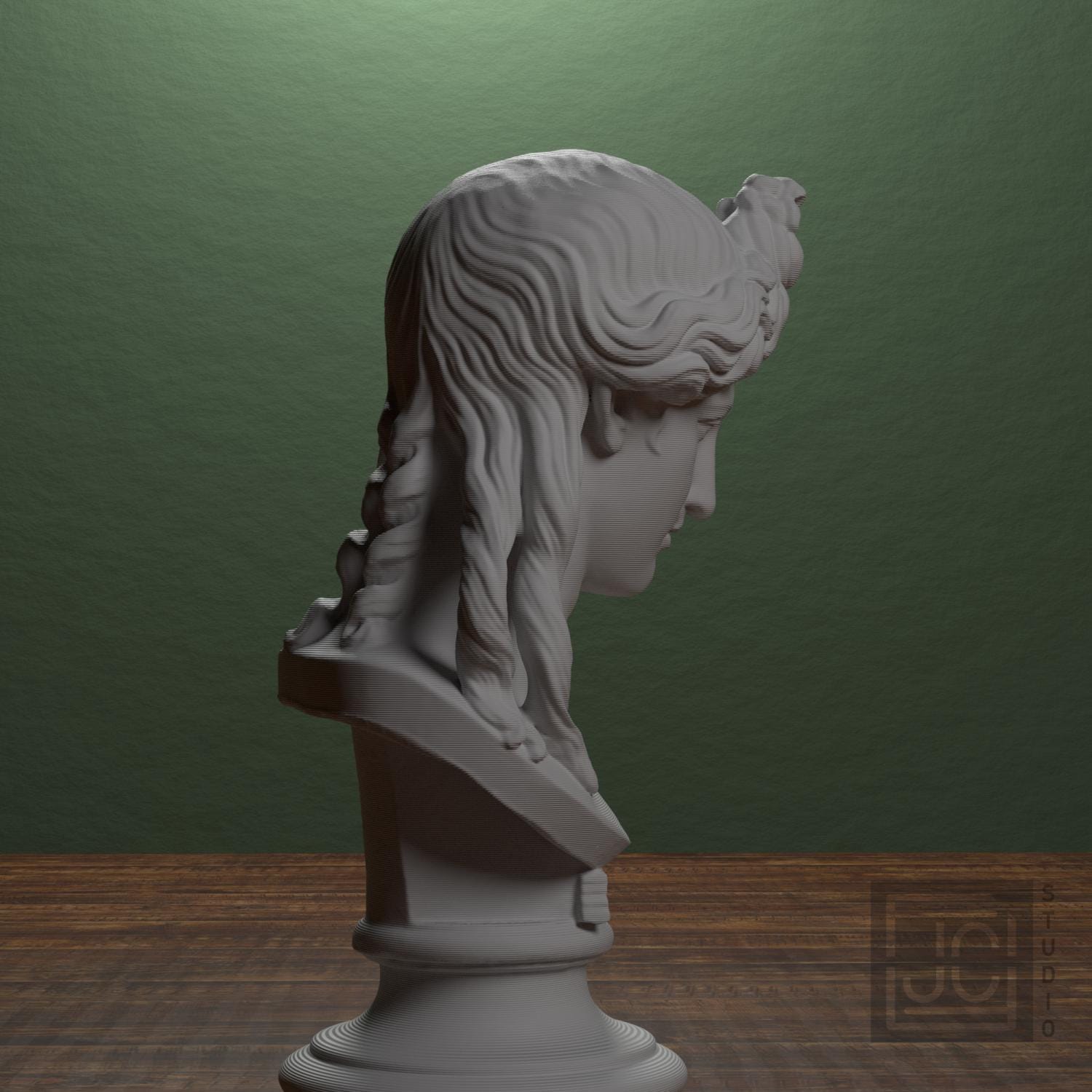 Head of a Woman or Apollo supplemental reference photo 2