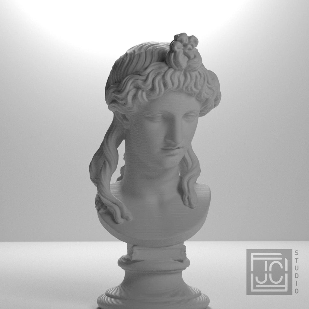 Head of a Woman or Apollo supplemental reference photo 5