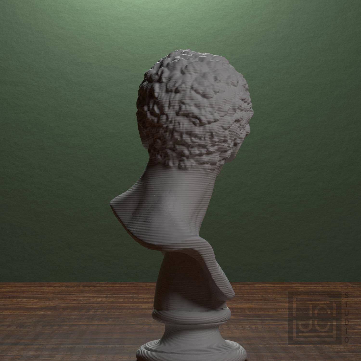 Head of a Man supplemental reference photo 2