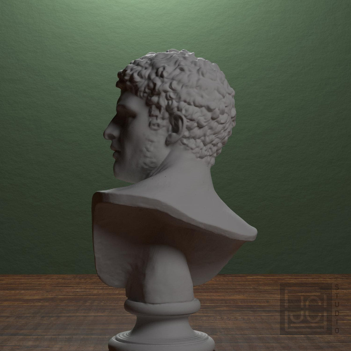 Head of a Man supplemental reference photo 3