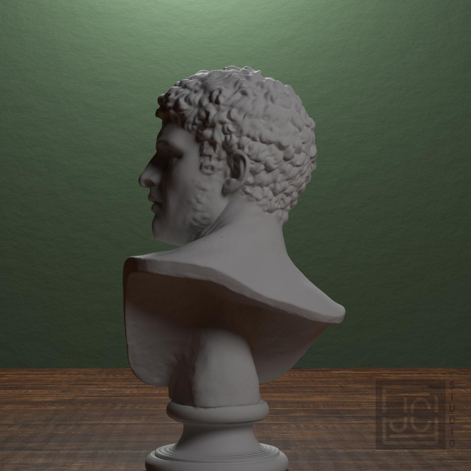 Head of a Man supplemental reference photo 3