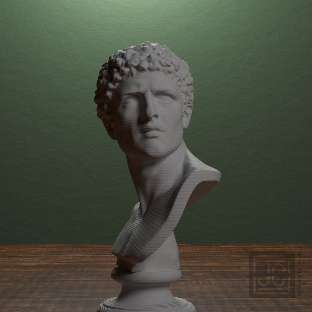 Head of a Man supplemental reference photo 4