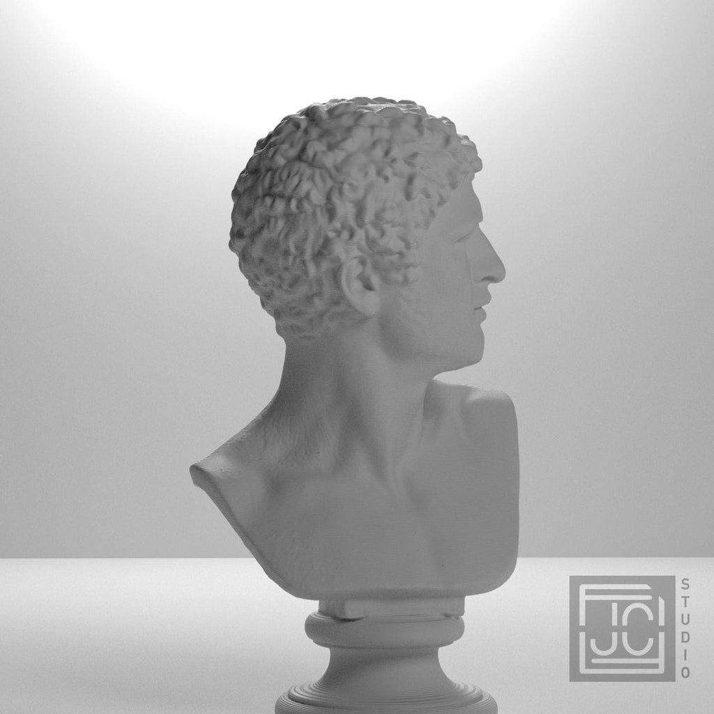 Head of a Man supplemental reference photo 5