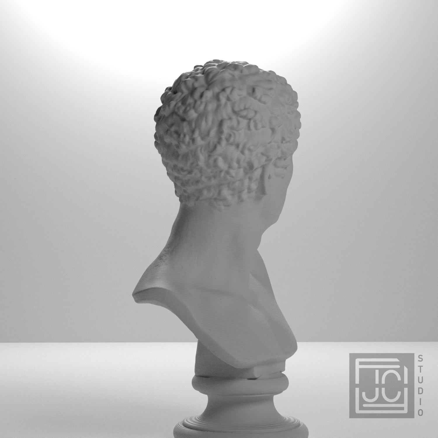 Head of a Man supplemental reference photo 6