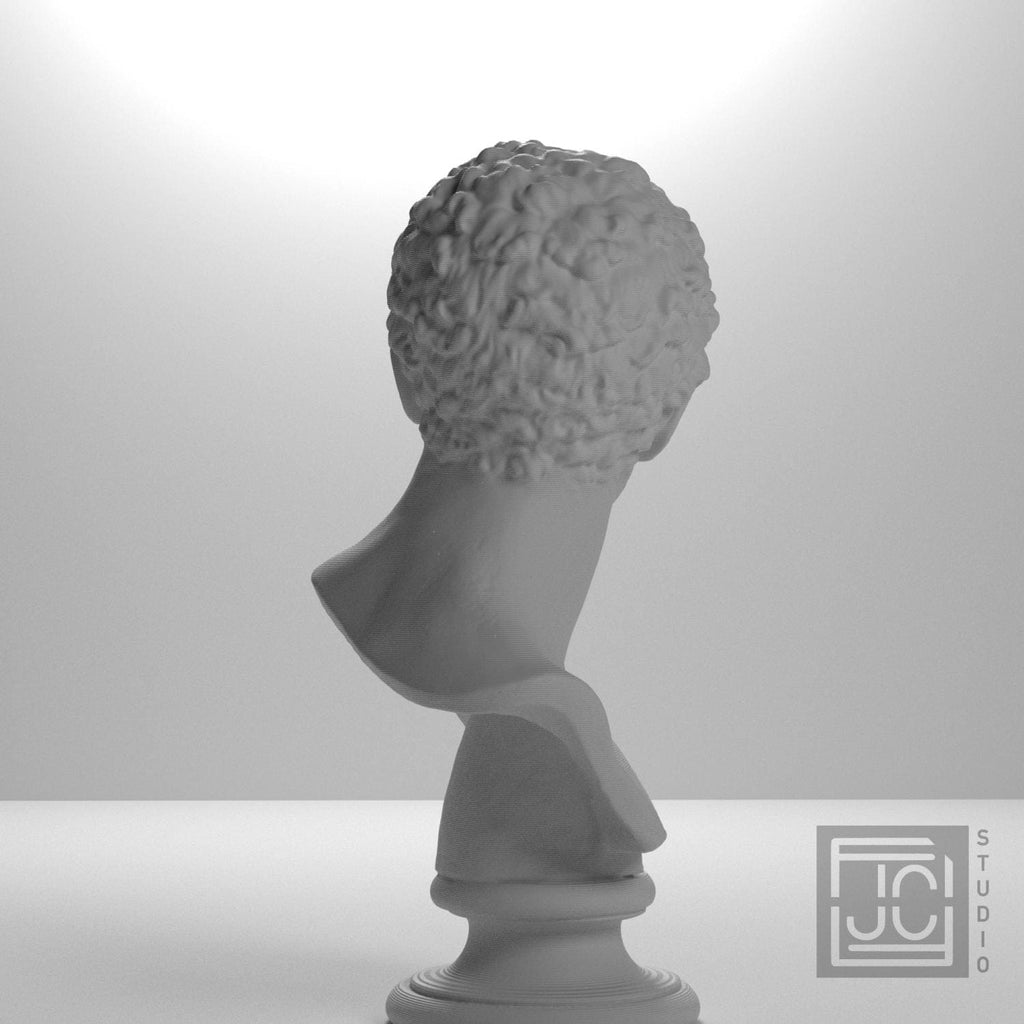 Head of a Man supplemental reference photo 7